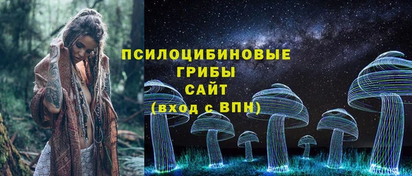 ГАЛЛЮЦИНОГЕННЫЕ ГРИБЫ Баксан