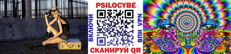 купить наркотик  MEGA ссылка  Псилоцибиновые грибы прущие грибы  Великие Луки 